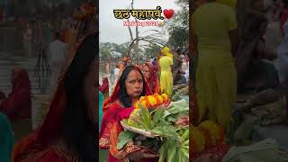 Chhath pooja mahaparv 2024 mini vlog ❤️✨ shorts ytshorts [upl. by Aneehsat]