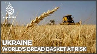 Worlds bread basket at risk Russian invasion blocks farming [upl. by Eruza]