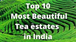 Top 10 tea plantations in India  Beautiful tea gardens in India  Tea estates in India [upl. by Lauri]