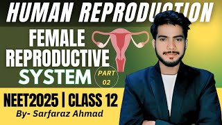 Female reproductive System Human reproduction Detailed explanation by Sarfaraz Ahmad [upl. by Ylrebnik]