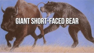 Arctodus The “ShortFaced Bear” is Misunderstood [upl. by Barret]