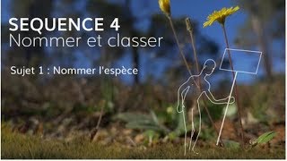 Séquence 4 sujet 1  Nommer l’espèce [upl. by Chemush]