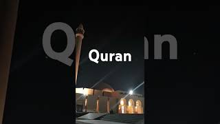 Quran urdu translationshorts subscribe foryou explore [upl. by Brose]