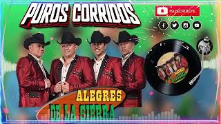 Los Alegres De La Sierra Mix Puros Corridos Chingonas  Sus Mejores Exitos Corridos Guitarras [upl. by Ilesara]