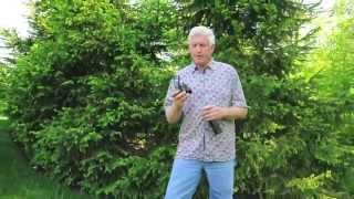 3 Most Common Lawn Sprinkler System Repairs [upl. by Uhsoj]