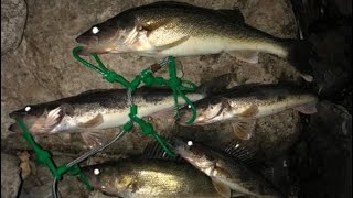 Mississippi River Walleye Fishing day 2 [upl. by Ravaj]