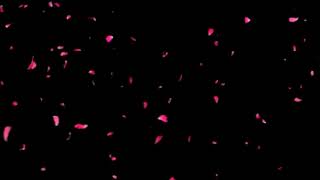 Flower effect  Effect snow  effect background  effect video [upl. by Nalod]