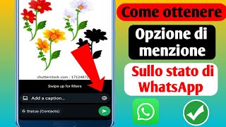 Come ottenere lopzione di menzione sullo stato di WhatsApp ultimo 2024 [upl. by Norb]