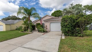 4127 Foxboro Dr New Port Richey FL [upl. by Nailimixam48]