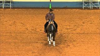 2012 AQHA Reining World Champion  LIL JOE CASH [upl. by Luapsemaj775]