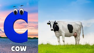 Animals ABC Song for Kids  Phonics for Kids  Alphabet Letters  Learn ABC for Kids [upl. by Annoid]