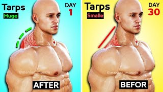 7 BEST EXERCISE TRAPS WORKOUT 🔥 [upl. by Malita]