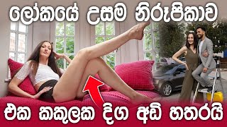 ලෝකයේ උසම නිරූපිකාව ලිසිනා Lisina the tallest model in the world [upl. by Carlee]