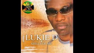 Lukie D  Shelter Me [upl. by Hogen471]