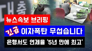 뉴스속보 긴급 이자폭탄 무섭습니다헉 은행서도 연체율 5년 만에 최고 정완진TV [upl. by Vander790]