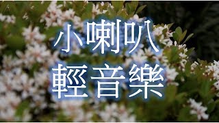 小喇叭 輕音樂 放鬆解壓 Relaxing Chinese Music [upl. by Asilla145]