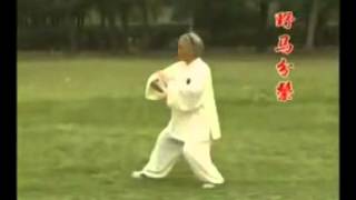 传统杨式太极拳八十五式 Yang Style Taiji Quan 85 [upl. by Leroi]