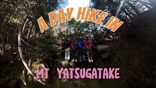 A pretty easy hike in Mt Yatsugatake [upl. by Silvan]