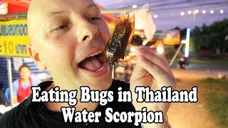 Eating Bugs and Insects in Thailand Giant Water Bugs Bizarre Thai foods [upl. by Derril]