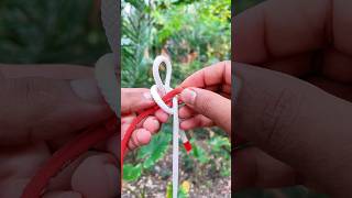 One of the most beautiful knots that needs so much [upl. by Alyt]