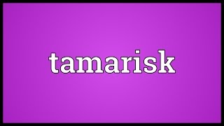 Tamarisk Meaning [upl. by Streetman]