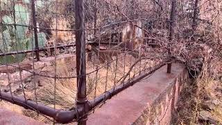 Exploring the Old Mexican Cemetery in Morenci Arizona [upl. by Cheyney730]