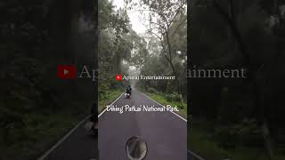 Dihing Patkai National Park ৷৷ Tinsukia ৷৷ Dibrugarh৷৷ Apuraj Entertainment৷৷ [upl. by Sondra661]