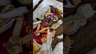 baragaon vardan Maharaj ki jayradhe music song dance ltestsong2021new [upl. by Etnuad]