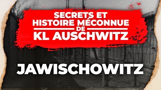 F KL AuschwitzJawischowitz  SECRETS du camp  lhistoire méconnue du KL AuschwitzBirkenau [upl. by Ajed595]