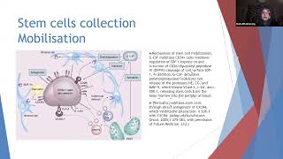 Hematopoietic stem cell transplantation [upl. by Annaeoj597]