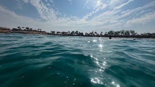 Snorkeling in Marsa Alam  Egypt 2 [upl. by Ellery]