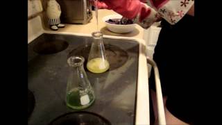 Staci Drawdys Lab Final Titration of Lysol with Sodium Hydroxide [upl. by Telford573]