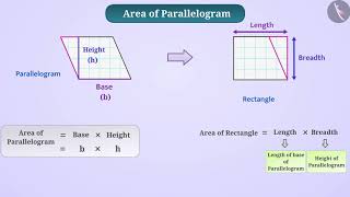 Area of a parallelogram  Part 13  English  Class 7 [upl. by Kina]