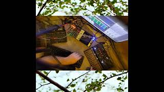 Synth Jam  Mutable Instruments Braids Behringer Four LFO September 10 2024 [upl. by Noillimaxam]