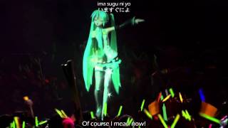 VOCALOID  World is Mine Live Concert Realtime Hologram [upl. by Ocire]