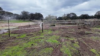 IRRIGATION for the NEW forest patch [upl. by Eerbua]