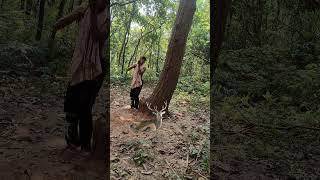 Open deer 🦌 catching 😱youtubeshorts shots trending jangali wildlife videoreels 🦌😱 [upl. by Mendelson]