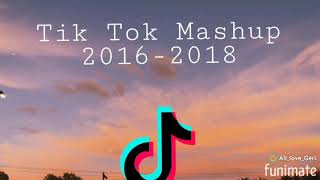 Tik Tok Mashup20162018 [upl. by Nelak461]