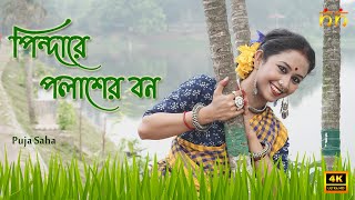 🍀Pindare Polasher Bon Palabo Palabo Mon  Bengali Folk Dance [upl. by Tihor]