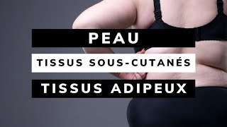 PEAU tissus SOUSCUTANÉS tissus ADIPEUX Anamnèse et Exploration Physique [upl. by Ahsikad]