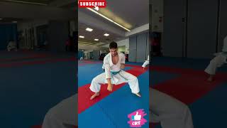 Karate Group Kata Practice amp Training karate sports olympics shorts coach japan india usa [upl. by Mou680]