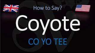 How to Pronounce Coyote  English American Pronunciation [upl. by Aruam823]