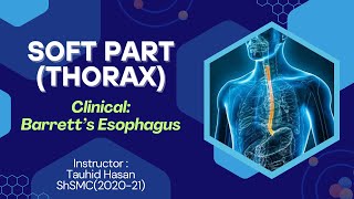 Barretts Esophagus  Clinical Anatomy Esophagus  Explained in Bangla [upl. by Akanke]