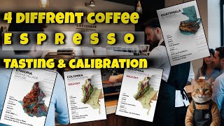 Tasting amp Calibrating 4 Unique💵😱 New Coffees  POV Barista Experience [upl. by Nytnerb132]