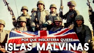 Por esto Inglaterra quiere Las Malvinas Esta es la IMPORTANCIA ECONÓMICA DE LAS ISLAS [upl. by Osnofedli433]