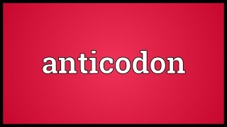 Anticodon Meaning [upl. by Llenrap]