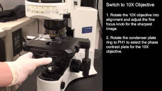 Intro to Fluorescence Microscopy [upl. by Meier519]