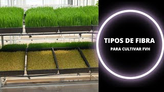 🟩 TIPOS DE FIBRA PARA CULTIVAR FORRAJE VERDE HIFROPÓNICO 🐮 [upl. by Lynea867]