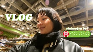 GO ASIA VLOG Einkaufen im asiatischen Supermarkt 🥡🥢 [upl. by Woehick]