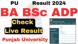 Result Check 2024 ADA ADS ADP BA BSc Exams 2024 PU  Punjab University Result 2024 [upl. by Ilellan]